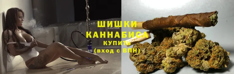 купить наркоту  Сыктывкар  Шишки марихуана White Widow 